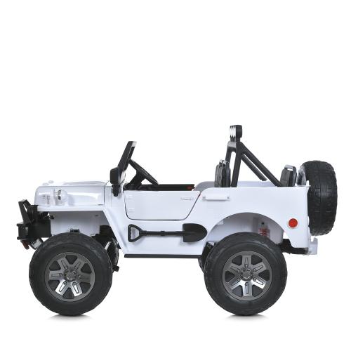  M 6069EBLR-1(24V) (1) 2,4G /, 4*200W, 1*24V7AH, 3-, MP3, USB, BLUETOOTH, TF, EVA, , , , 