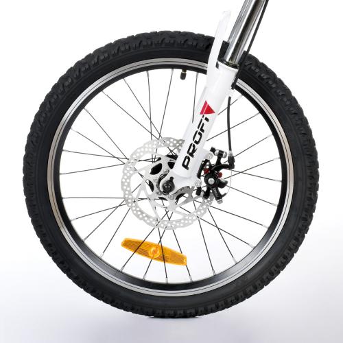 Велосипед дитячий PROF1 20д. LMG20210-3 (1шт) магн.рама, диск.гальма, Shimano 6SP, подвійний алюм.обід,СТС - Vitol Велосипед дитячий PROF1 20д. LMG20210-3 (1шт) магн.рама, диск.гальма, Shimano 6SP, подвійний алюм.обід,СТС
