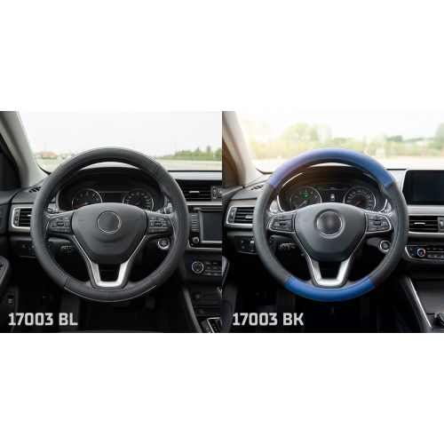 ����� ����  17003 BL  M ���