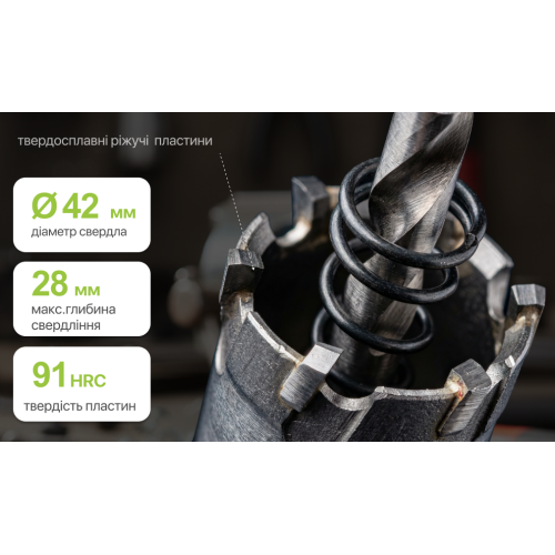 Alloid Base. ������� ��������� ������������� �� ������ 42��