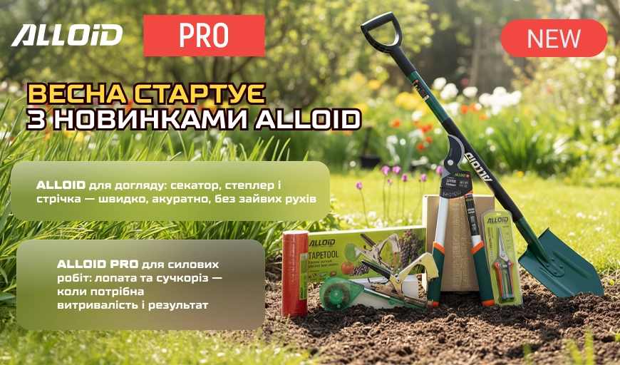 ����� ������ � ��������� Alloid