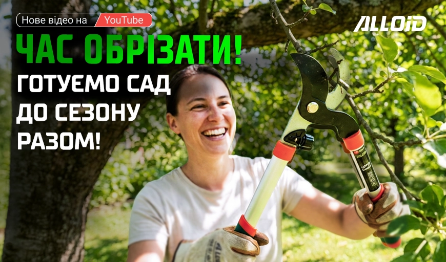 ���Ӫ�� ��� �� �����: ��� ����������� ��� ������ 2026