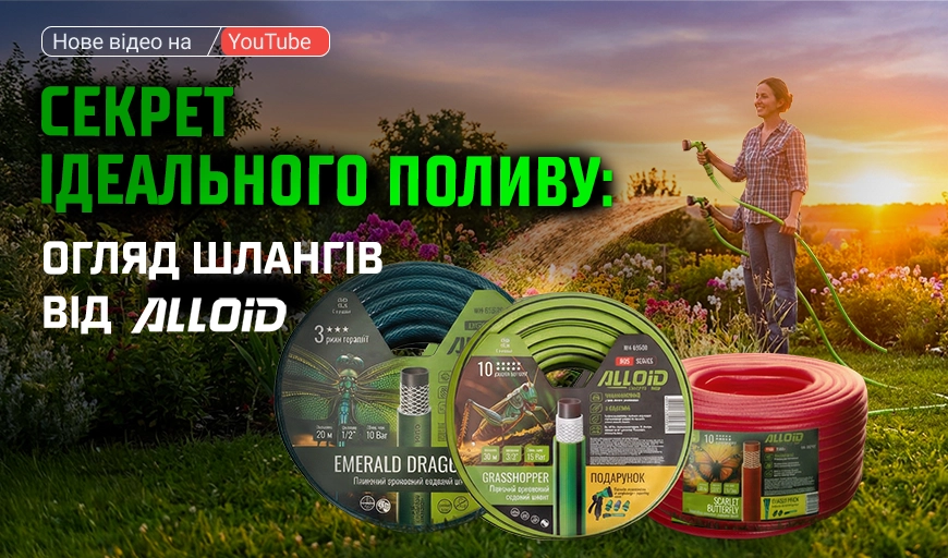 ����� ��� ���˲� �� ������Ͳ�! �������� ����� �� ����� 2026