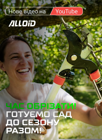 ���Ӫ�� ��� �� �����: ��� ����������� ��� ������ 2026