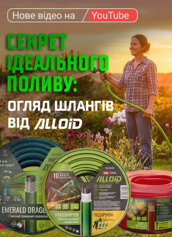 ����� ��� ���˲� �� ������Ͳ�! �������� ����� �� ����� 2026