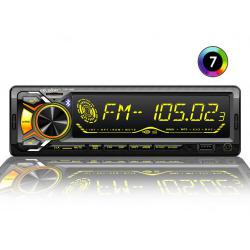  MP3/SD/USB/FM   Celsior CSW-1909M (Celsior CSW-1909M)