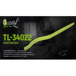  34022 Alloid (TL-34022)