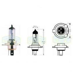        Trifa H4 24V 70/75W HD (21662)