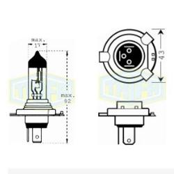        Trifa H4 24V 70/75W long-life (41662)