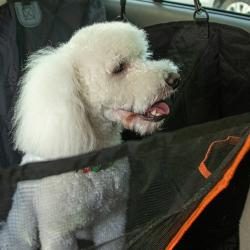 ����� �� ����������� ������ ��� ����� ���.GD-13