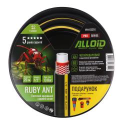   4- , "Ruby Ant" 1/2" 20  +   "", 2 ,   . Alloid Pro