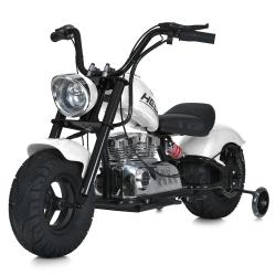  M 6016AL-1(36V) (1) 2*18V9AH, 1*350W, USB, BLUETOOTH, TF,  , 