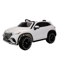  M 6161EBLR-1 (1) / 2,4G, 245W, 112V10AH, USB, MP3, EVA, BLUETOOTH, , , 