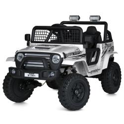  M 5991EBLR-1(24V) (1) 2,4G, 124V5AH, 450W, BLUETOOTH, USB, TF, EVA, , , , 