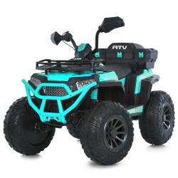  M 6132EBLR-5 (1) / 2,4G, 435W, 112V10AH, USB, MP3, TF, EVA, BLUETOOTH, , , , 