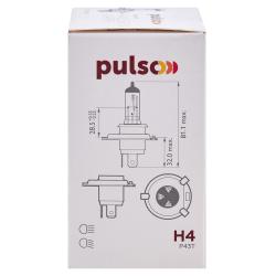  PULSO/ H4/P43T 12v100/90w clear/c/box