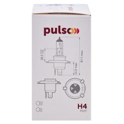  PULSO/ H4/P43T 12v60/55w clear/c/box