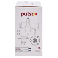 PULSO/ H4/P43T 12v60/55w+50% X-treme Vision/c/box