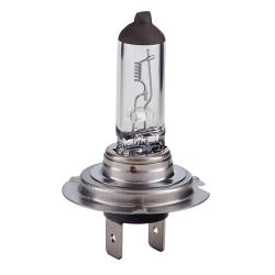  PULSO/ H7/PX26D 24v70w clear/c/box