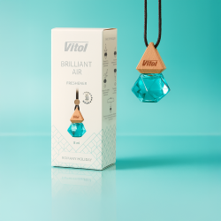   Vitol Brilliant Air Romany Holiday 8