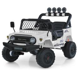  2566AEBLR-1(24V) (1) 2,4G, 435W, 124V7AH, EVA, ., MP3, USB, BLUETOOTH, , , 