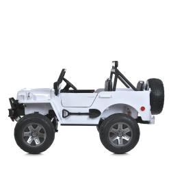  M 6069EBLR-1(24V) (1) 2,4G /, 4*200W, 1*24V7AH, 3-, MP3, USB, BLUETOOTH, TF, EVA, , , , 