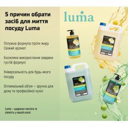 ���� ��� ����� ������ Luma 5� ������