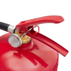 ������������ ���������� � ���������� "����������" 5��