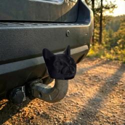 �������� �������� ������� ������� ����