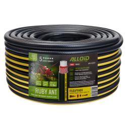 ����� ��������� 4-� �������, "Ruby Ant" 3/4" 50 � + ��������� ������������ "������", 2 ��������, �������� � ���. Alloid Pro