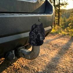 �������� �������� ������� �������