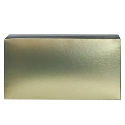 ������������� ������������ "���� ����� �� ���������" �� �������� ������ (GZKT-49)