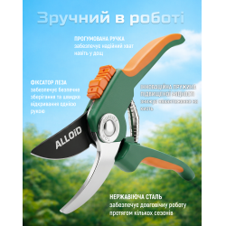 ���� ������� + ������ Alloid