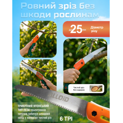 ���� ������� + ������ Alloid