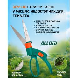 ������ ����� ��� �����, ��������� 330�� Alloid