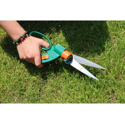 ������ ����� ��� �����, ��������� 330�� Alloid