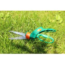 ������ ����� ��� �����, ��������� 330�� Alloid