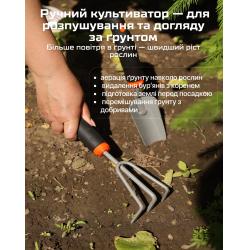 ���� ������� �����������, 3 �������� (�����) Alloid