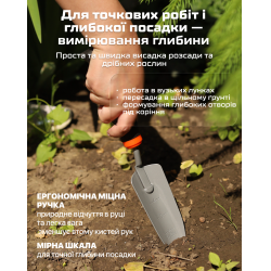 ���� ������� �����������, 3 �������� (�����) Alloid