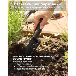 ���� ������� �����������, 3 �������� (�������) Alloid