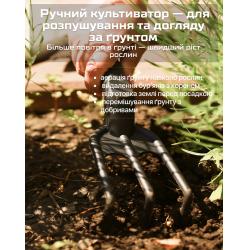 ���� ������� �����������, 3 �������� (�������) Alloid