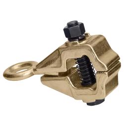 Alloid. ���������� ��� �������� ���� 5 �.