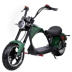 ������������� Chopper 3000W, 60V20Ah, Green (�� ����ު �����-������)