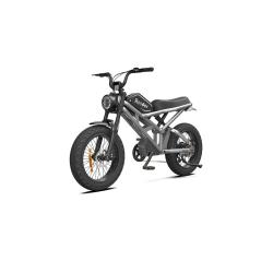 ���������������� Rooder 1000W, 48V25Ah, Silver (��� �����������)