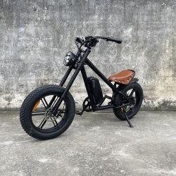 ���������������� CB-01a, 1000W, 48V20Ah, ������ 20�5", 200��, �� 50��, 50��/� (�� ����ު ����������)