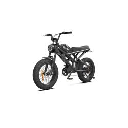 ���������������� Rooder 1000W, 48V25Ah, Black (��� �����������)