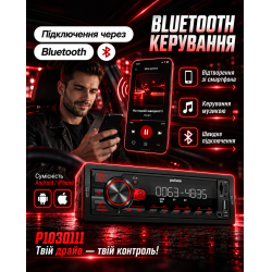 ������������� Pulso-10301111 2/24V RGB, USB, FM, RCA, LCD-�������, 4�50 ��, ��������� ����� Bluetooth