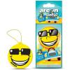   AREON   Smile Dry Suer Dream
